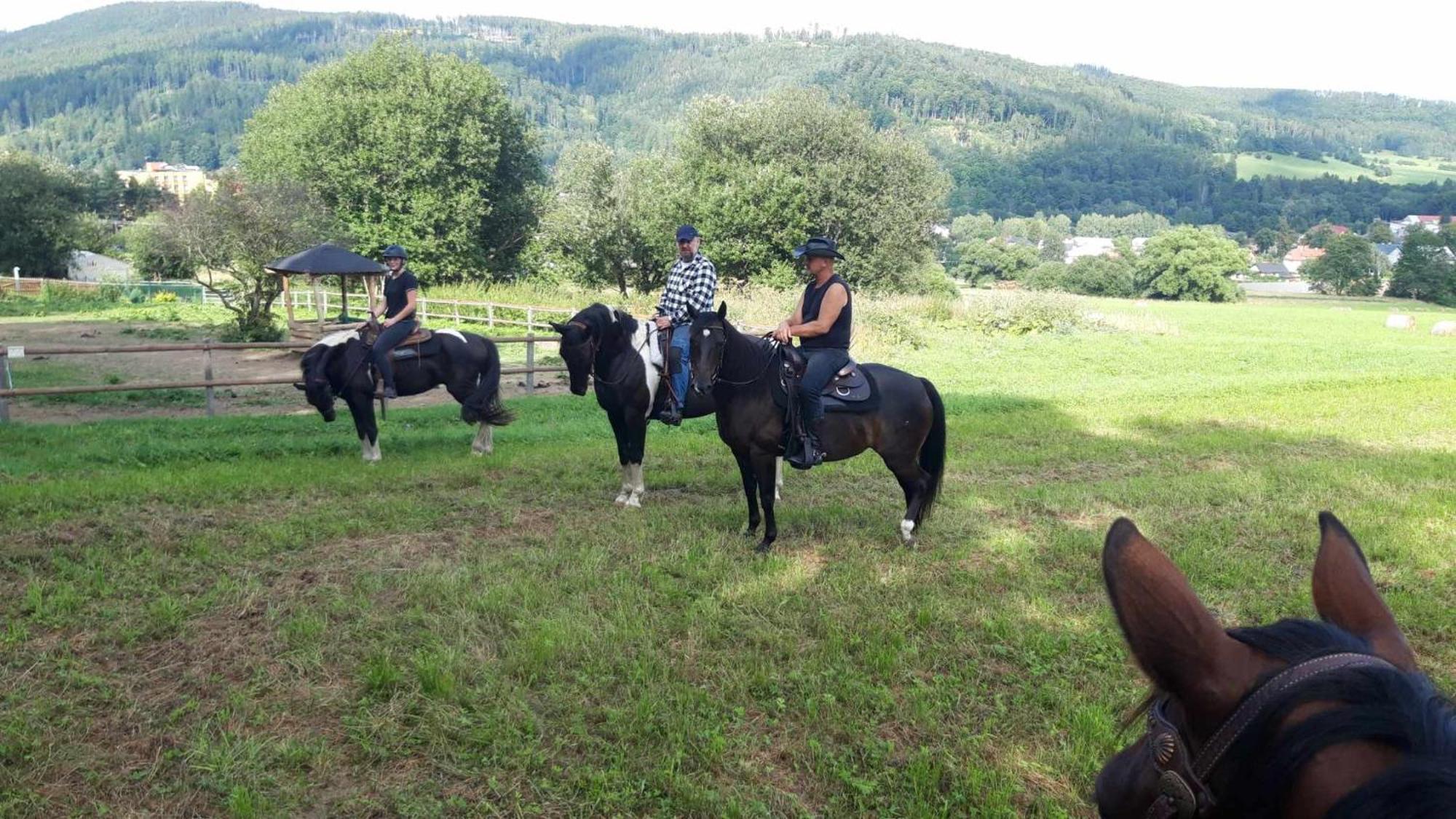 Penzion U Hradilu Vrbno pod Pradědem Extérieur photo